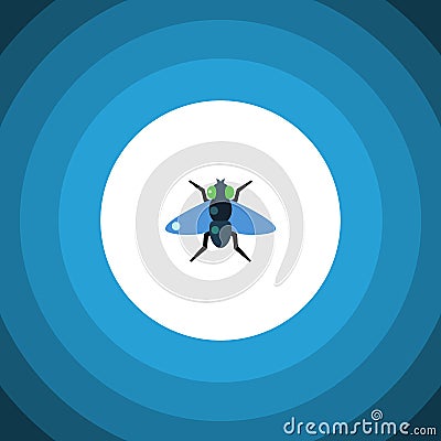Isolated Bluebottle Flat Icon. Dung Vector Element Can Be Used For Dung, Fly, Bluebottle Design Concept. Vector Illustration