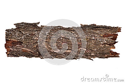 Isolated broken bark stub log, wooden texture Stock Photo