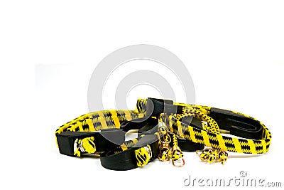 Isolated Bungee Cords Stock Photo