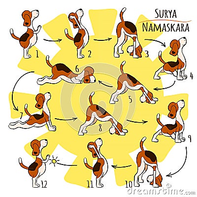 Isolated cartoon funny dog doing yoga position of Surya Namaskara Vector Illustration