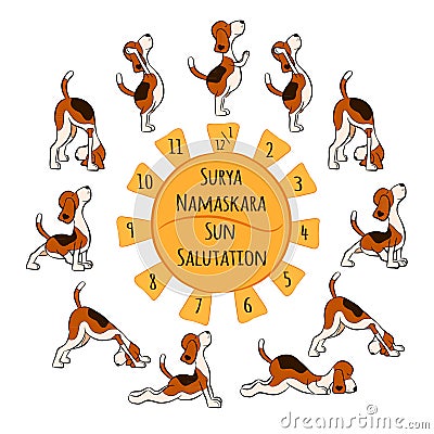 Isolated cartoon funny dog doing yoga position of Surya Namaskara Vector Illustration