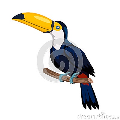 Isolated cartoon toucan icon. Mexican forest bird. Color clipart. Jungle character Vector Illustration