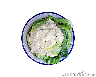 Isolated cauliflower in a bowl with water drops on a white background Stock Photo