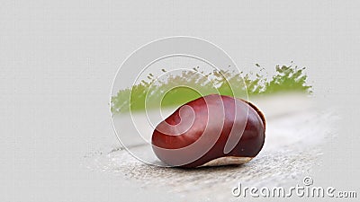 Isolated Chestnut fruit on textured backgound. Painting effect. Stock Photo