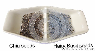 isolated chia seeds and hairy basil seeds after put in the water on white background Stock Photo