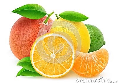 Isolated citrus fruits Stock Photo