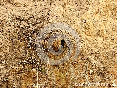 Isolated Clay Drain Pipe in Sand Slope Stock Photo