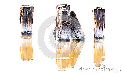 Isolated closeup shot of burned wooden timbers in shallow water Stock Photo