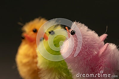 Isolated closeup shot of colorful small toy chicks Stock Photo