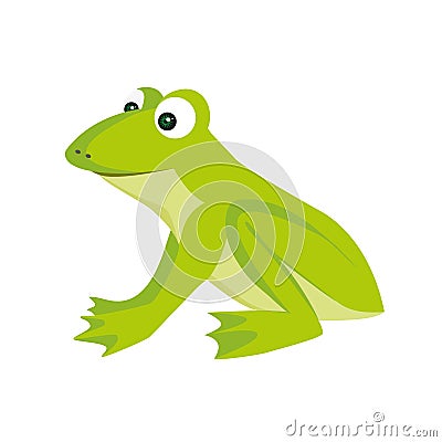 Isolated colored cartoon green color sitting frog with smile on white background. Vector Illustration