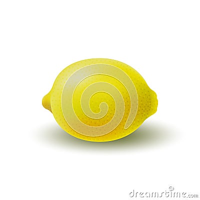 Isolated colored whole juicy yellow lemon with shadow on white background. Realistic citrus fruit. Vector Illustration
