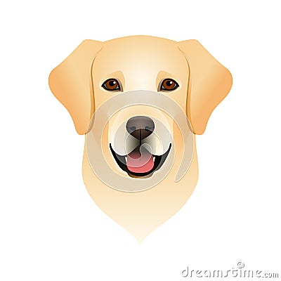 Isolated colorful head and face of happy labrador retriever on white background. Color flat cartoon breed dog portrait. Vector Illustration