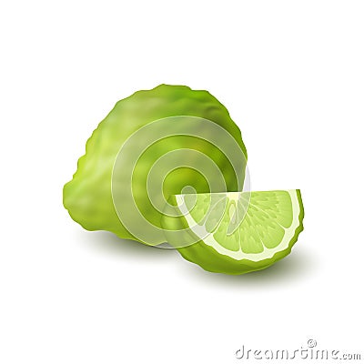 Isolated colorfull green whole and slice of juicy bergamot, kaffir lime with shadow on white background. Realistic wedge citrus fr Vector Illustration