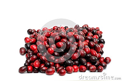 Isolated Cranberries Stock Photo