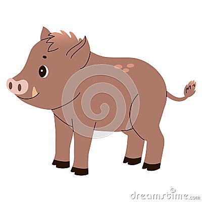 Isolated cute funny boar in flat vector style on white background. Woodland life. Vector Illustration