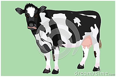 Isolated Dairy caw on green background Vector Illustration