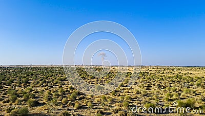 isolated desert landscape with small wild bush and bright blue sky at morning Stock Photo