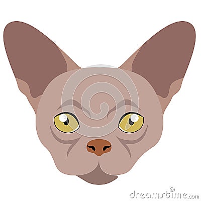 Donskoy cat avatar. Cat breeds Vector Illustration