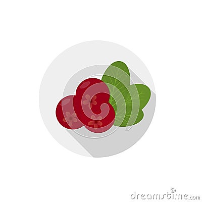 Isolated flat icon of vegetarian eating berries on a white background. Ripe red lingonberries . Vector Cartoon Illustration