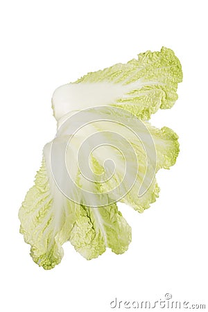  flat lay shot of a pile of Chinese napa cabbage leaves on a white background Stock Photo