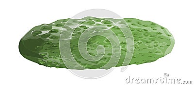 Isolated fresh cucumber. Vector Illustration