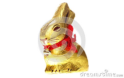Isolated golden chocolate Easter bunny Stock Photo