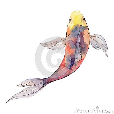 Isolated goldfish illustration element. Watercolor set. Aquarelle elements for background, texture, wrapper pattern. Cartoon Illustration