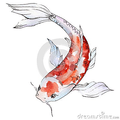 Isolated goldfish illustration element. Watercolor set. Aquarelle elements for background, texture, wrapper pattern. Cartoon Illustration
