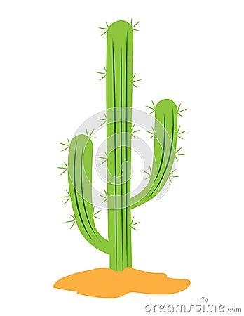 Isolated green cactus Vector Illustration