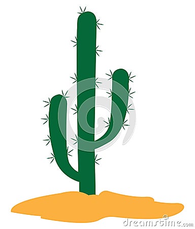 Isolated green cactus Vector Illustration