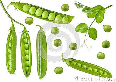 Isolated green peas. Collection of green raw pea pods and beans with an open, closed and fresh leaf on stem. Detail for packaging Stock Photo