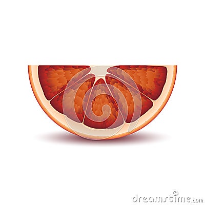 Isolated half of circle juicy red color bloody orange with shadow on white background. Realistic colored slice. Vector Illustration