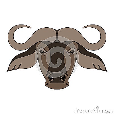 Isolated head of buffalo on white background. Colored cartoon face portrait. Vector Illustration