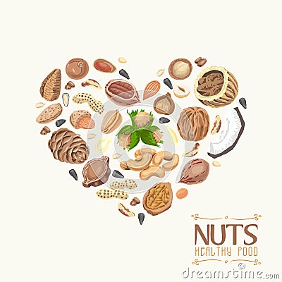 The isolated heart of nuts and seeds Vector Illustration