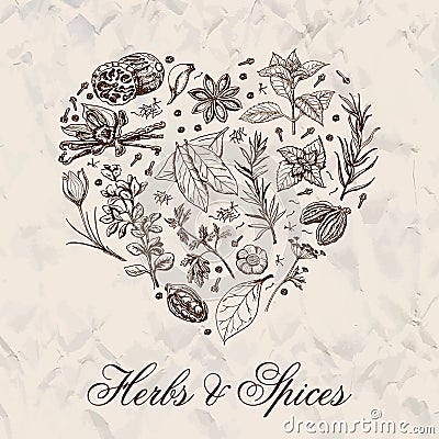 Isolated heart from spices and herbs Vector Illustration