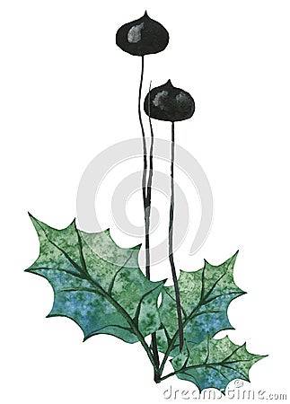 Isolated Holly leaves branch arrangement. Vector Illustration