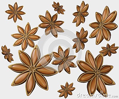 Isolated Illicium verum commonly called star anise fruit and seeds Stock Photo