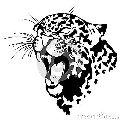 Isolated illustration of a leopard head Vector Illustration