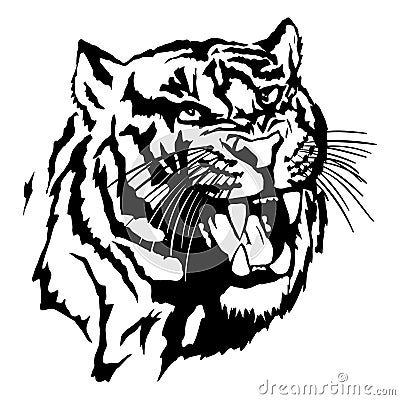 Isolated illustration of a tiger`s head Vector Illustration