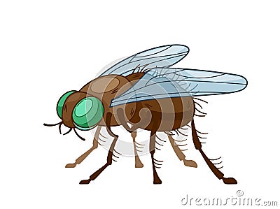 Isolated Insect Fly, Agile, Winged Arthropod With A Distinctive Two-wing Structure. Its Play Vital Role In Ecosystems Vector Illustration