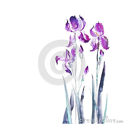 Isolated iris flower Cartoon Illustration