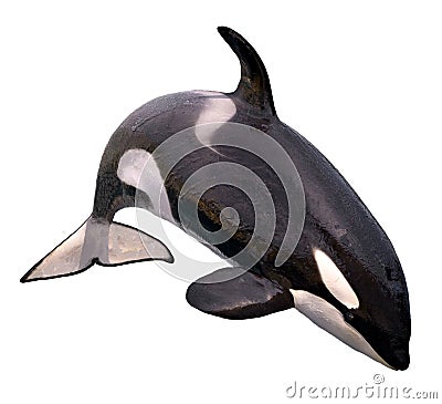 Isolated killer whale jumping Stock Photo