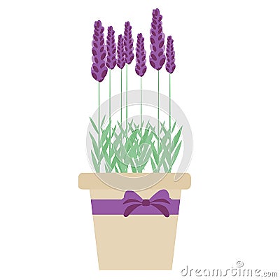 Isolated lavender flowers in pot. Vector illustration Vector Illustration