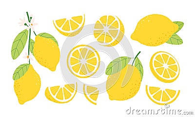 Isolated lemon fruits, different citrus half and slices. Yellow fruit for lemonade, cartoon fresh and organic juicy raw Vector Illustration