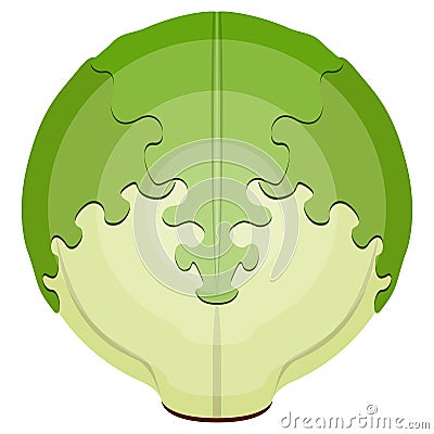 Isolated letucce icon Vector Illustration