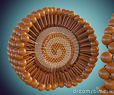 A liposome is a small artificial vesicle, spherical in shape Stock Photo