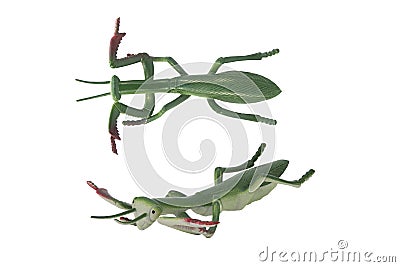 Isolated mantis toy photo. Stock Photo