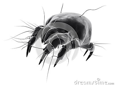 Isolated mite Cartoon Illustration