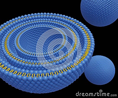 Isolated multi lamellar vesicle. close up view Stock Photo