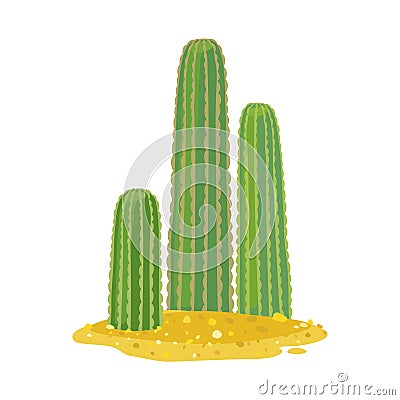 Isolated object of cactus and flora icon. Web element of cactus and garden stock vector illustration. Vector Illustration